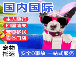海浪机场邮寄国际宠物托运 【国